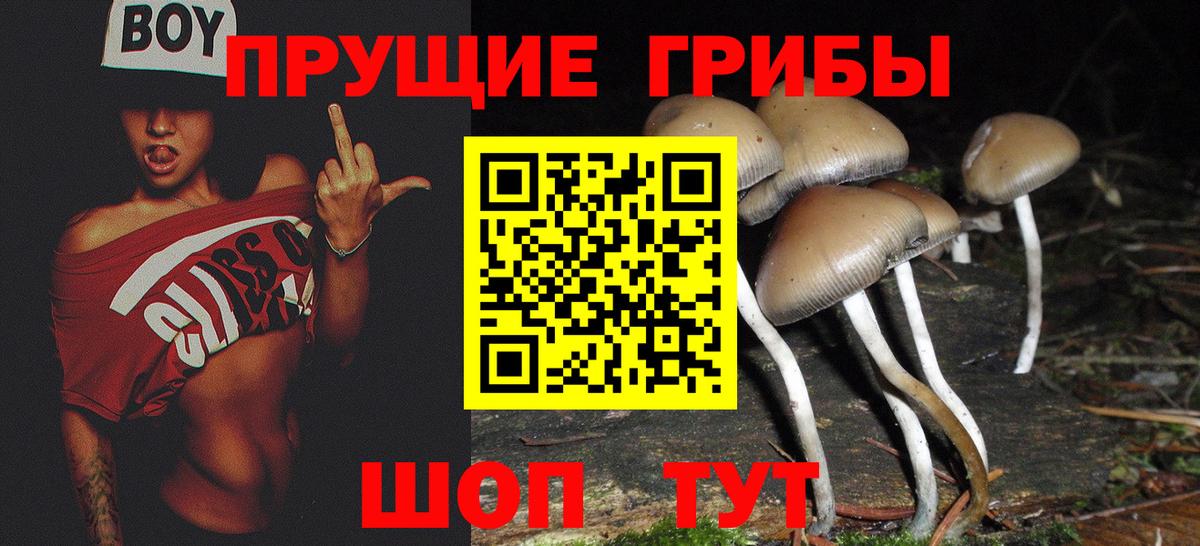 Псилоцибиновые грибы Magic Shrooms  Вход с VPN  Бутурлиновка  Галлюциногенные грибы Psilocybe 